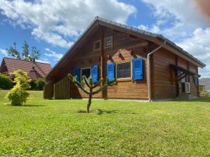 a log cabin with blue shutters and a tree at Ferienhaus Gross Nemerow in Groß Nemerow +15 photos