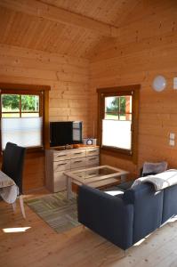 a living room with a blue couch and a tv at Ferienhaus Gross Nemerow in Groß Nemerow