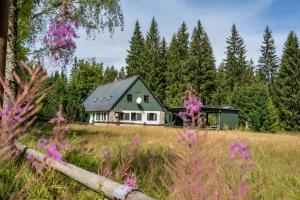 a house in the middle of a field with flowers at Ferienhaus Henneberg in Johanngeorgenstadt