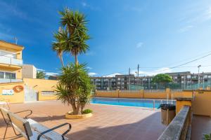 a patio with two palm trees and a swimming pool at Apartamento Noenil in L'Estartit
