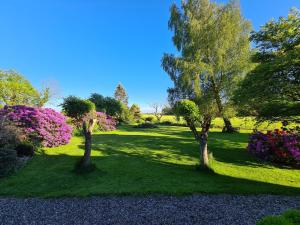 three trees in a park with flowers and grass at Ferienwohnung Haloi in Torsballig +16 photos