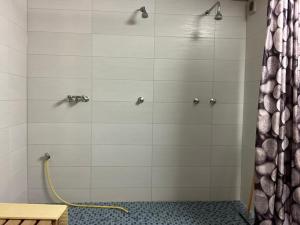 a bathroom with a shower with a hose at Kehl Vogt Ferien Apart in Warstein +49 photos