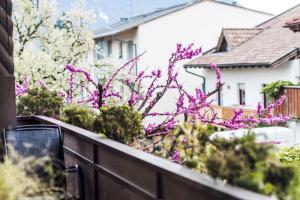 a garden with purple flowers on a fence at Ferienwohnung Lanz 3 in Lana +4 photos