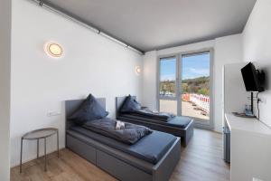 ein Wohnzimmer mit zwei Sofas und einem Fenster in der Unterkunft Boardinghouse27 in Dußlingen