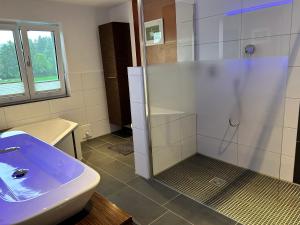 a bathroom with a sink and a glass shower at Ferienhaus Frank Grieser in Hopferau +11 photos