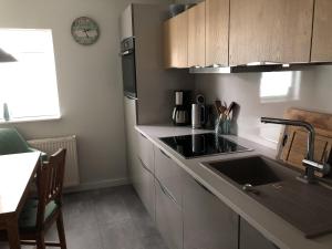 a kitchen with a sink and a counter top at Logierhaus An der Truse in Brotterode