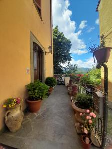 a courtyard with potted plants on the side of a building at La Vista Sul Castello in Compiano