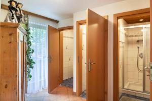 a bathroom with a walk in shower and a toilet at Ferienwohnung Dornauer Sommer in Hippach