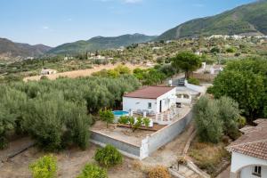an aerial view of a villa with a pool and trees at La Casita del Limoncito in Alcaucín