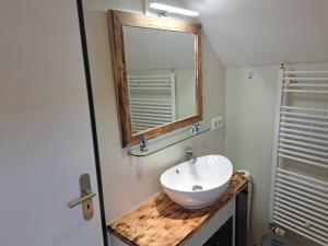 a bathroom with a sink and a mirror at Zimmer in Müsch nahe Nürburgring in Müsch +4 photos