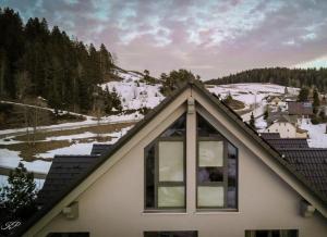 a roof of a house with a snow covered mountain at Kuckucks Hideaway in Oberibach