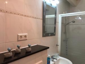 a bathroom with a sink and a shower with a mirror at Ferienwohnung Borkum in Burhave +20 photos