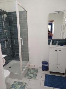 a bathroom with a shower and a toilet and a sink at Gite paysan lecarpentier in Fontenay