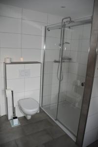 a bathroom with a shower and a toilet at Casa Schrader in Kaltenholzhausen +22 photos