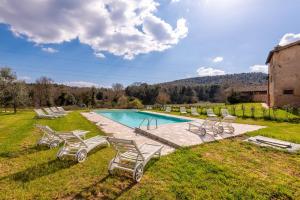 a swimming pool with lounge chairs in a yard at Agriturismo la Taverna Di Celsa in Sovicille