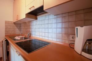 a kitchen with a sink and a refrigerator at Apartment 1 - Zur Sonne in Laion