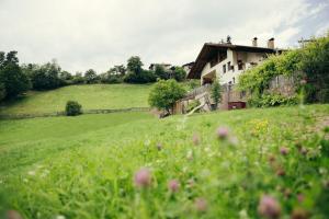 a house on the side of a green field at Obertimpflerhof Wohnung Lola in Verano +2 photos
