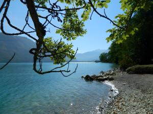 a view of a lake with mountains in the background at studio Le Cabanon in Doussard