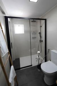 a bathroom with a shower and a toilet in it at Casa dos Avós in Santa Eulália +28 photos
