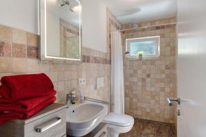 a bathroom with a sink and a toilet and a mirror at Ferienwohnung Weitblick in Sasbachwalden +21 photos