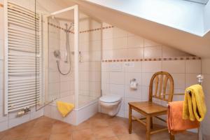 a bathroom with a shower and a toilet and a sink at Schwippl in Meckenbeuren +11 photos