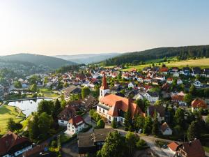 an aerial view of a small town with a church at Haus Marianne Duffner in Schonach