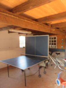 a ping pong table in a room with a ceiling at Ferienwohnung Hoffarth 1 in Gelting +16 photos