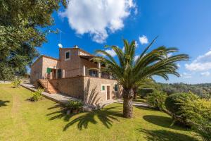an exterior view of a house with a palm tree at Taconera in Artá