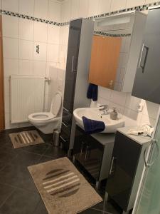 a bathroom with a toilet and a sink at Ferienwohnung Ödbach mit Terrasse in Konzell