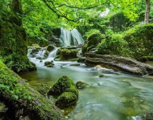 a waterfall in a forest with rocks and trees at Barbenea in Oronoz-Mugaire