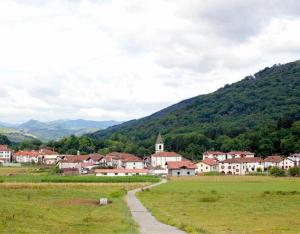 a small town in a field with a mountain at Barbenea in Oronoz-Mugaire +10 photos