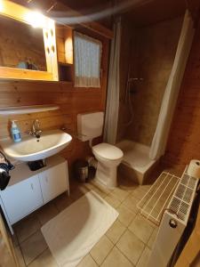 a bathroom with a sink and a toilet and a shower at Ferienwohnung Haarkotten in Steinfurt