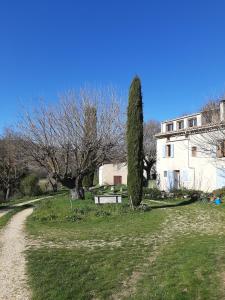 ein Haus mit einem Baum und einer unbefestigten Straße in der Unterkunft Studio Bas Verdon in Allemagne-en-Provence