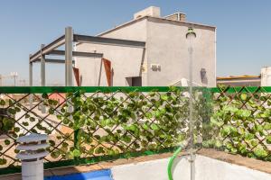 a fence with ivy on it in front of a building at Freedom Penthouse in Seville +7 photos