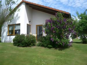 a small white house with purple flowers in the yard at Ferienhaus Uslar Gmbh Uslar in Uslar +13 photos