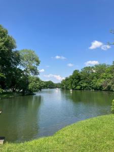 a river with trees on the side of it at Ferienwohnung Merzig in Merzig