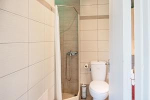 a bathroom with a toilet and a shower at Stunning Views Kantouni Beach in Kalymnos