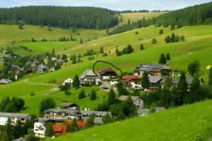 a small village in a green hill with houses at Ferienwohnung Bergerhöh in Todtnauberg