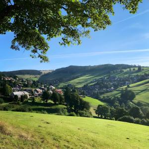 a green hillside with a village in the distance at Ferienwohnung Bergerhöh in Todtnauberg +17 photos