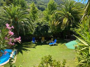 a yard with chairs and a pool and palm trees at Quinta Pé Franco in Medrões