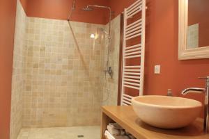 a bathroom with a sink and a shower at Ferme De Berteillé in Castérat-Bouzet +16 photos