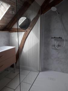 a bathroom with a shower with a sink and a mirror at Chambres d'hôtes Chez Mathilde in Eaux-Puiseaux