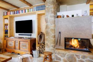 a living room with a fireplace and a television at Chalet Fluh in Oberstaufen