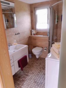 a bathroom with a toilet and a sink at Ferienhaus Waldblick in Reinharz +12 photos
