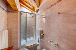 a bathroom with a toilet and a shower at Casa Montagna in Cadore in San Pietro di Cadore +22 photos