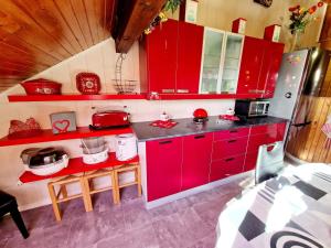 a kitchen with red cabinets and red counters at Le Gite Fleuri in Hazelbourg +5 photos
