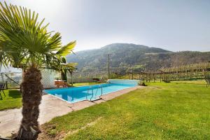 a swimming pool in a yard with a palm tree at Fröhlichhof Wohnung Apfelblüte in Lagundo +13 photos