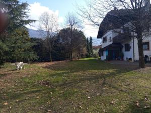 a white house with a bench in the yard at Apartement Annabelle in Lana