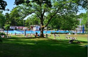 a group of people laying in the grass in a park at Ferienwohnung Beyer Friedrichroda in Friedrichroda