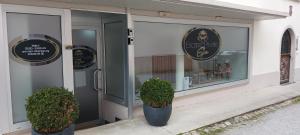 a store front with two potted plants in front of it at Escape Private SPA I in Bad Zurzach